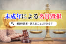 未成年による名誉毀損